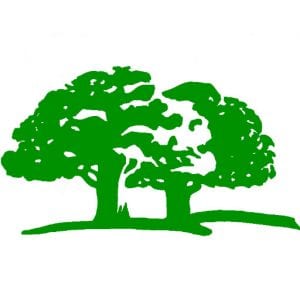 insured-tree-service-Auburn-Federal-Way-Kent-Des-Moines-Burien-WA