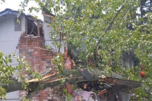 emergency tree removal service auburn-federal way-kent-burien-normany park-bonney lake-lake tapps-des moines wa