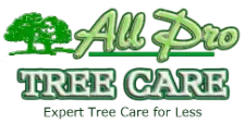 Award-Winning & Top Rated Tree Service Company- Dangerous Tree Removal | Trimming | Land Clearing | Residential- Commercial – Municipal – Contractors Tree Service Maintenance | 24/7 Emergency Tree Services | Spiderlift Tree Care |Serving Auburn WA| Federal Way| Kent| Des Moines WA| Burien| Seatac|Normandy Park| Edgewood | Milton | Black Diamond | Bonney Lake | Lake Tapps | NE Tacoma | Pacific | Renton | Fife | Tukwila | Covington | South King & Pierce Counties Washington