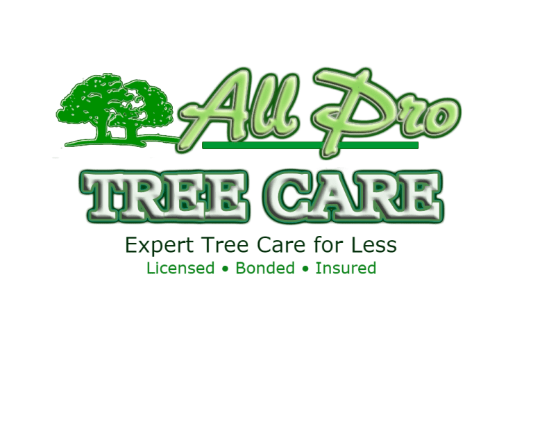 all pro tree care tree removal service AwardWinning & Top Rated Tree Service Company