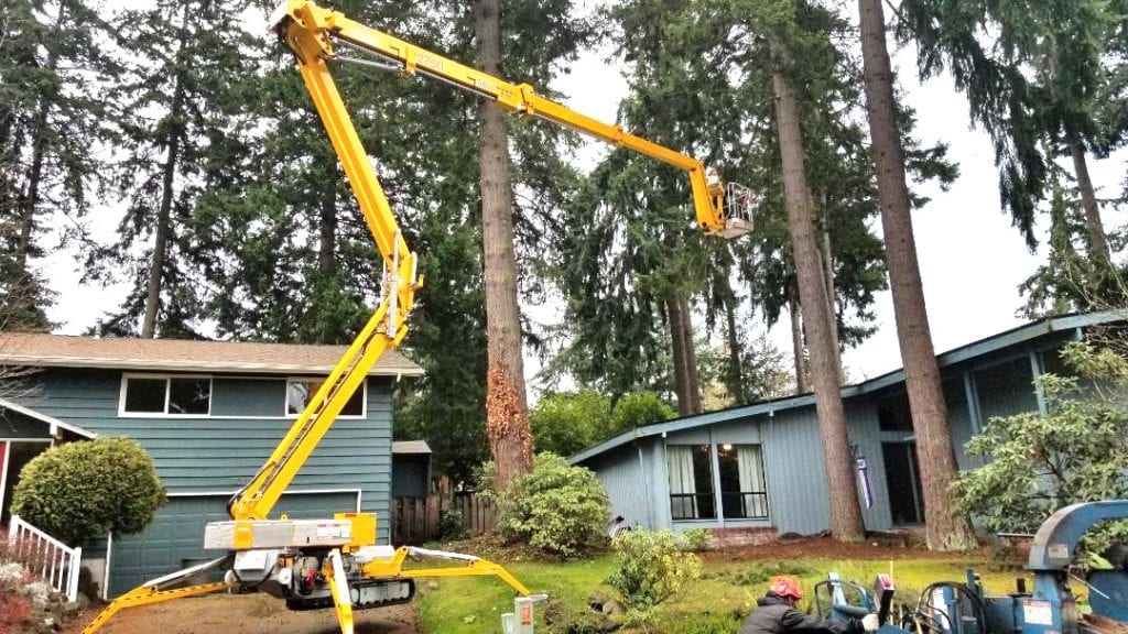 Best, Local &amp; Toprated Tree Service Emergency Tree