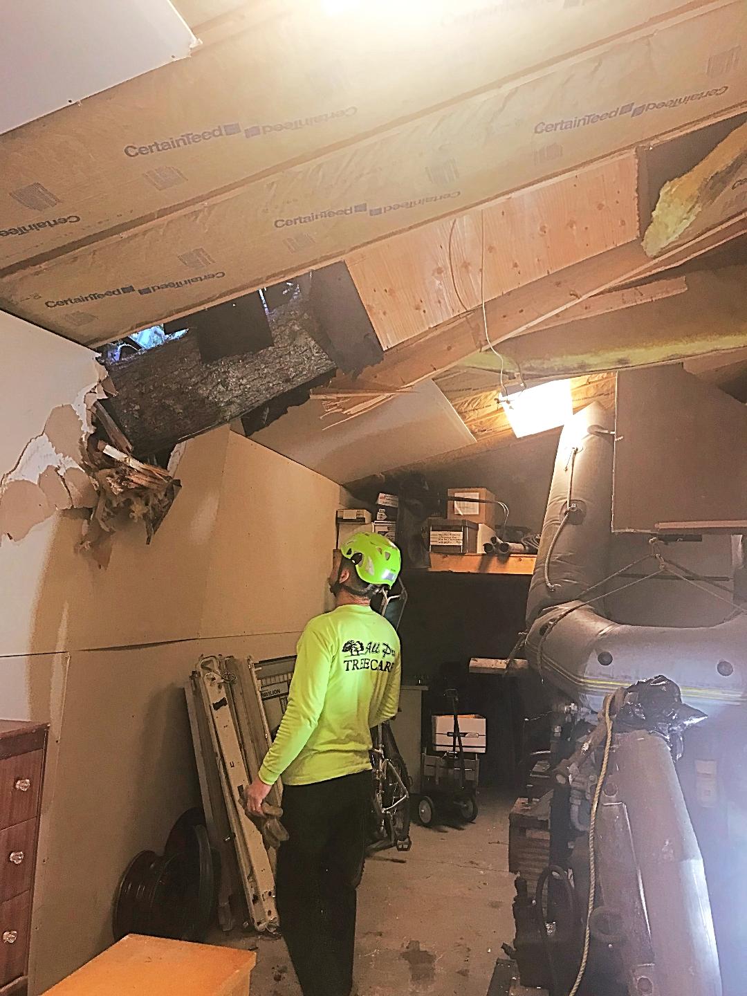 Emergency Tree Removal Service Kent-Auburn-Federal Way-Des Moines Wa Emergency Tree Removal Service Kent-Auburn-Federal Way-Des Moines Wa