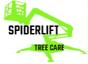 Spiderlift Tree Care- Lift Equipment Tree Removal and Trimming Auburn Wa-Federal Way-Kent-Renton WA
